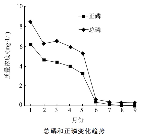 中浩遠達|無磷藥劑現場工業應用